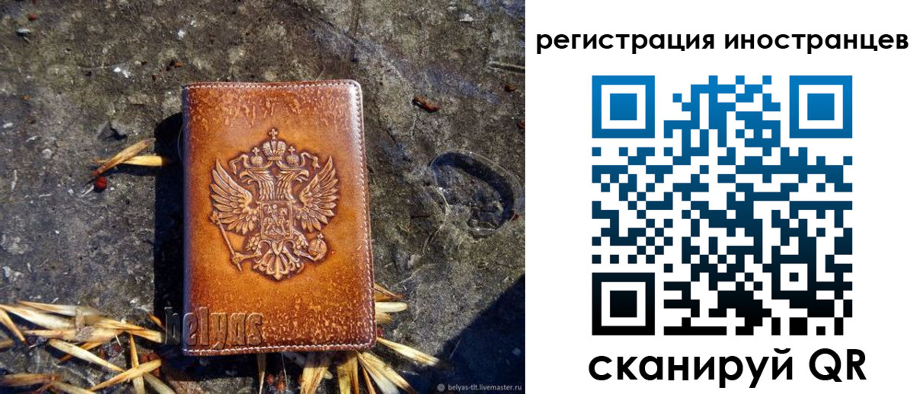 прописка регистрация в Мурино